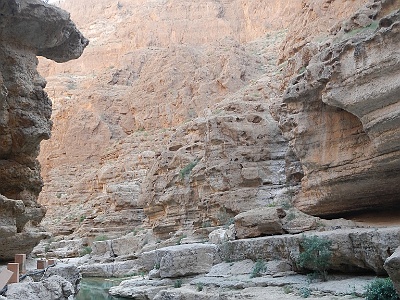 107 Oasis wadi shab
